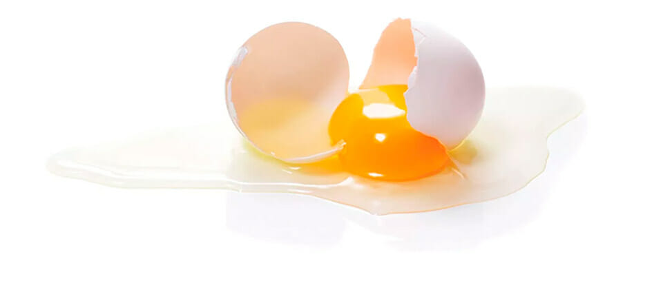 Ovos brancos quebrados com casca